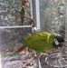 Terry Edens - Facebook