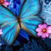Terry Eichman - Facebook