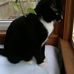 Terry Ekstrom - Facebook
