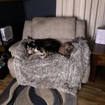Terry Elam - @adillonfan12023 - Instagram
