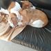 Theresa Eldred - Facebook