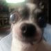 Terry Elrod - Facebook
