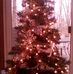 Terri Emerick - Facebook