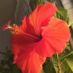 Terry Emerson - Facebook