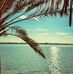 Terry Endicott - Facebook