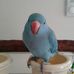 Teresa Engler - Facebook