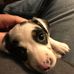 Terry Englert - Facebook