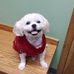 Teri Epling - Facebook