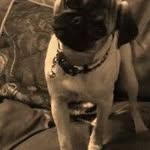 Terry D. Erwin - @terryd.erwin - Instagram