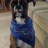 Terry Esser - @terry.esser - TikTok