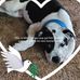 Terry Estes - Facebook