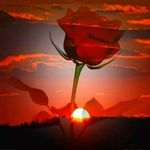 Terry Estes - @testes7777 - Instagram