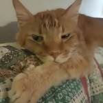 Terry Ethridge - @terry.ethridge.75 - Instagram