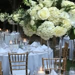 Terry Gaspar-Florist - @blooming.events.by.terry - Instagram