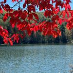 Terry Seehorn Ewing - @tseehorn - Instagram