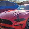 Terry Fairless - @terry.fairless - TikTok