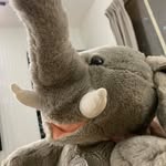 Terry Fan - @terry_fan917 - Instagram