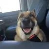 terryfaber0810 - @terryfaber0810 - TikTok