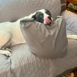 Terry Ferree - @tmferree - Instagram