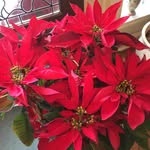 Terry Findley - @blue_springs_south - Instagram