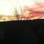 Terry Flatt - @terry.flatt.522 - Instagram