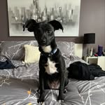 Terry Forth 🇨🇦 - @t4th80 - Instagram