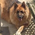 Terry Fraser - @linda4fraser - Instagram