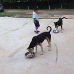 Terry Fraser - @terryfraser112 - Instagram
