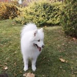 Friday Terry - @fridayterry002 - Instagram
