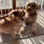 Terry Friday Conderino - @terryconderino - Instagram