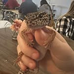 @terryfriday2024 - Instagram