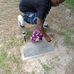 Terrance Frison - Facebook