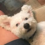 Terri Gable - @terri.gable.3 - Instagram