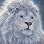 Terry Gabriel - @terry.gabriel.395669 - Instagram