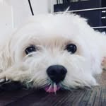 terry - @_terrygallardo - Instagram