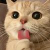 Terry Gan - @terryggg - TikTok
