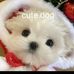Terry Gan - Facebook