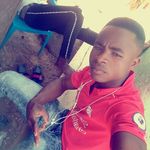 Terry Gee - @terry.gee.50596 - Instagram