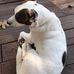Terry Gentry - Facebook