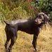 Terry Gideon - Facebook