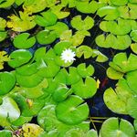 Terry Gilbert - @terry.gilbert.2110 - Instagram
