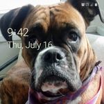 Terry Gilbert - @terry.gilbert.31945 - Instagram