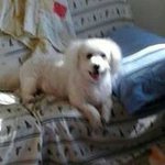 Terrie Glaser - @terrieglaser - Instagram