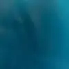 terryglaser218 - @terryglaser218 - TikTok