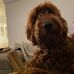 Terri Goebel - Facebook
