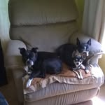 Terri Goetz - @terri.goetz.79 - Instagram