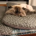 Terry Goff - @tgoff62704 - Instagram