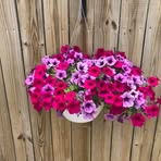Terry Goff - Facebook