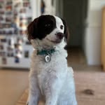 Terry Goins - @terrygoins - Instagram