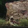 Terry Goldsmith - @terrygoldsmith017 - TikTok